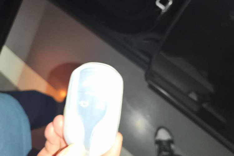 Used Maserati Levante 2019 3.0T Standard Version China V Emission Standard
