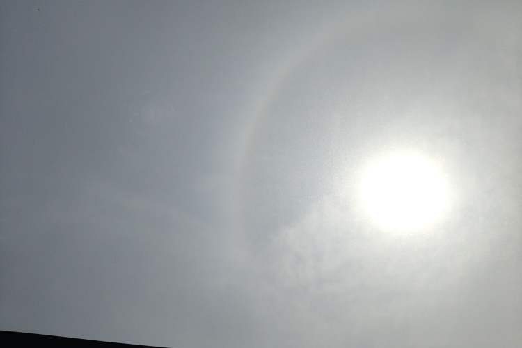 Used Toyota Corolla Hybrid E+ 2020 1.8L E-CVT Comfort Edition Headliner