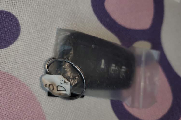 Used Toyota Corolla 2021 1.2T S-CVT Elite Edition Vehicle Key