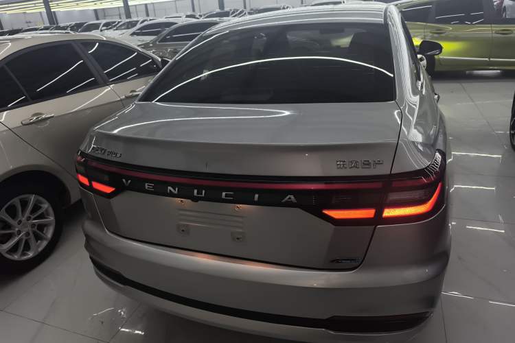 Used Venucia D60 2021 PLUS 1.6L XL CVT Yue Ling Edition Rear