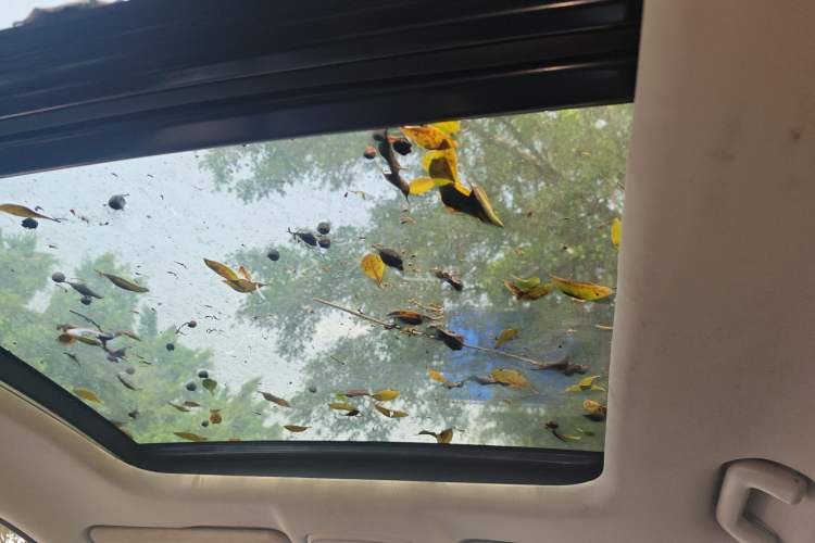 Used GAC Trumpchi GS4 2020 270T Automatic Elite Tech Edition Headliner