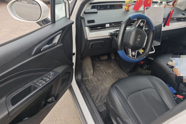 Used NETA V 2021 Long-Range Industry Custom Edition