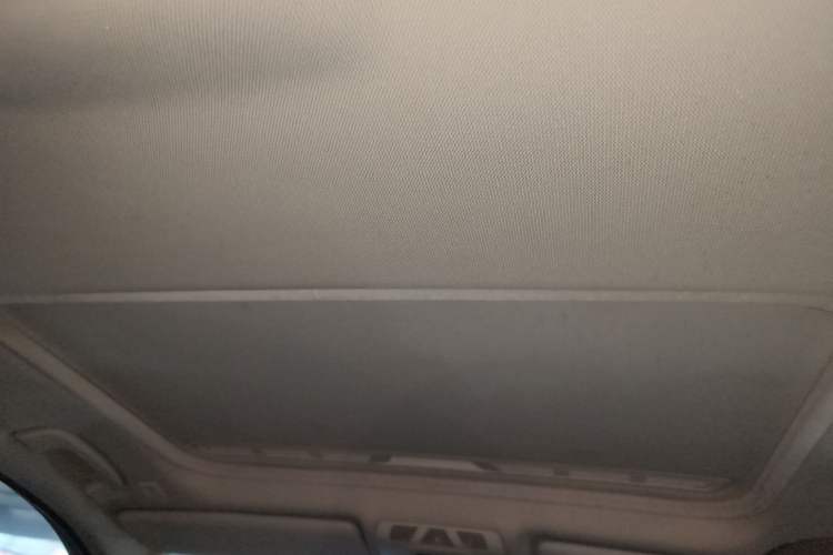 Used BMW 3 Series 2019 320Li Fashion Model Headliner