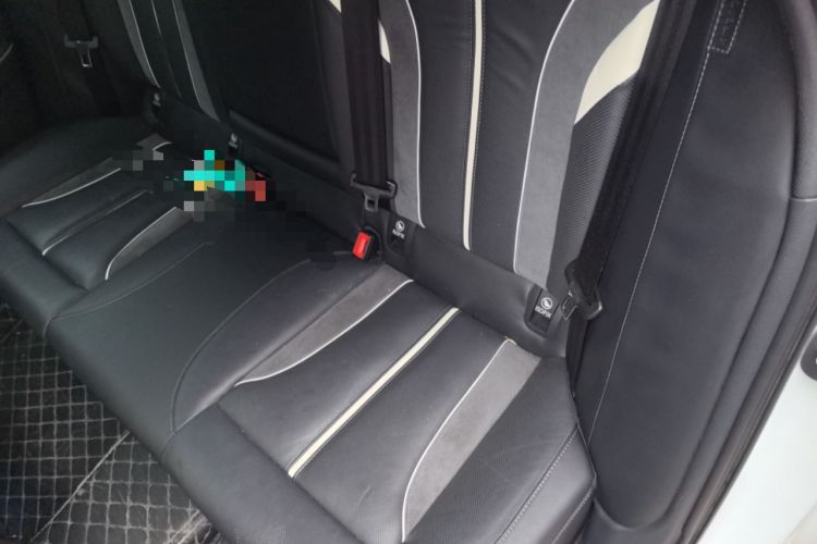 Used Hongqi H6 2023 2.0T ZhiShang Version Left Rear Seat