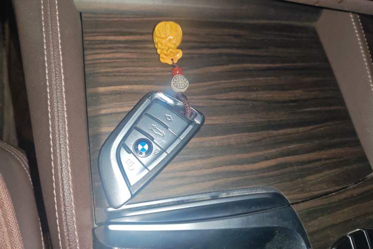 Used BMW 5 Series New Energy 2019 530Le Luxury Package
