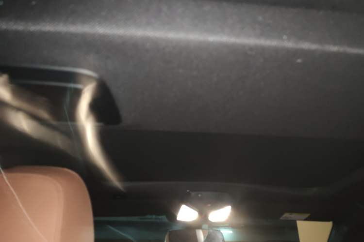 Used BMW 5 Series 2020 530Li Luxury Edition M Sport Package Headliner