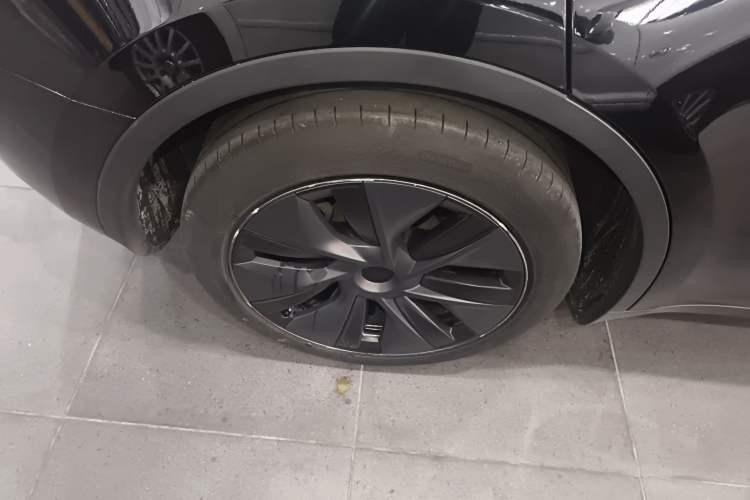 Used Tesla Model Y 2023 Rear-Wheel-Drive Version Exterior 5