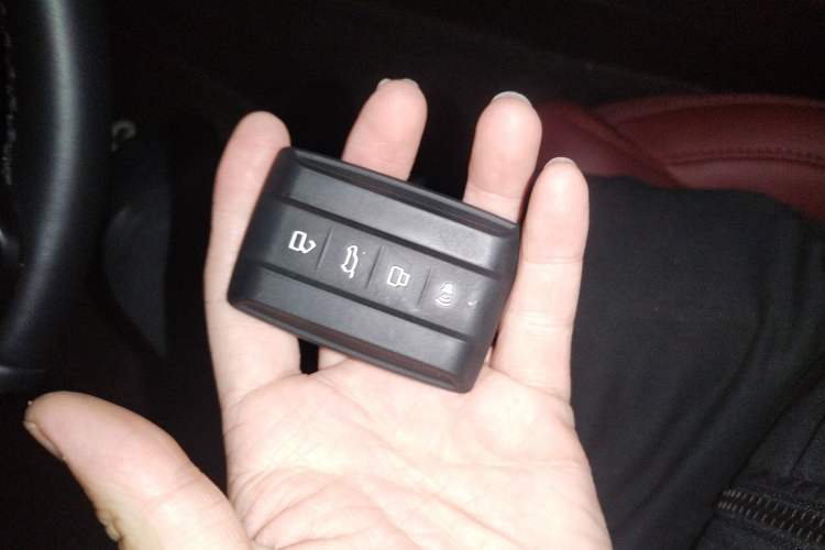 Used Tank 400 New Energy 2024 Hi4-T Off-Road Edition