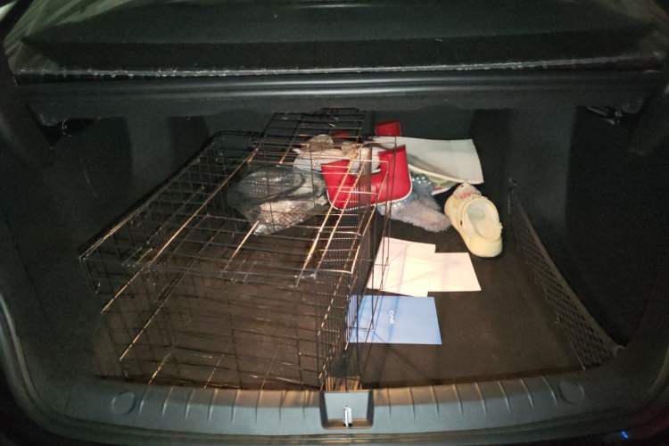 Used BYD Qin PLUS 2024 HONOR Edition DM-i 55KM Leading Model Trunk