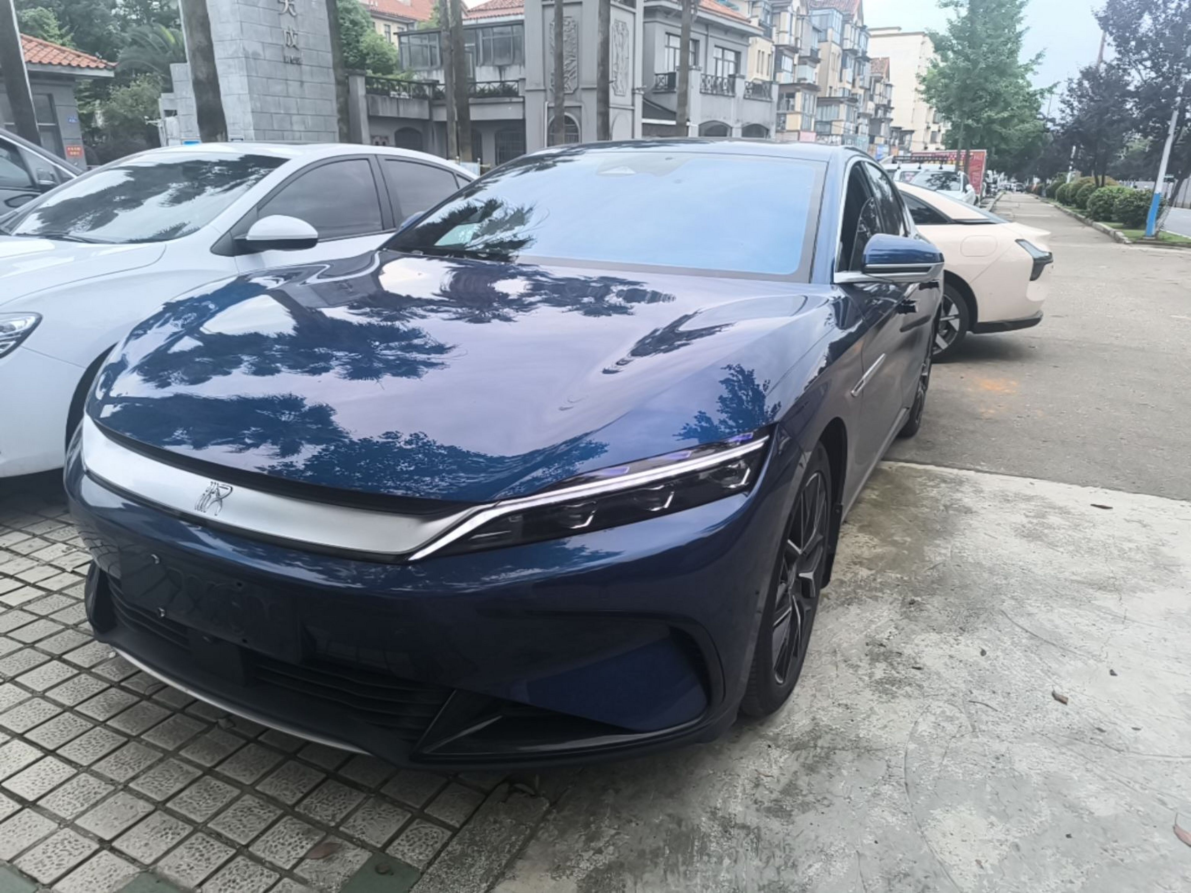 Under Front Bumper