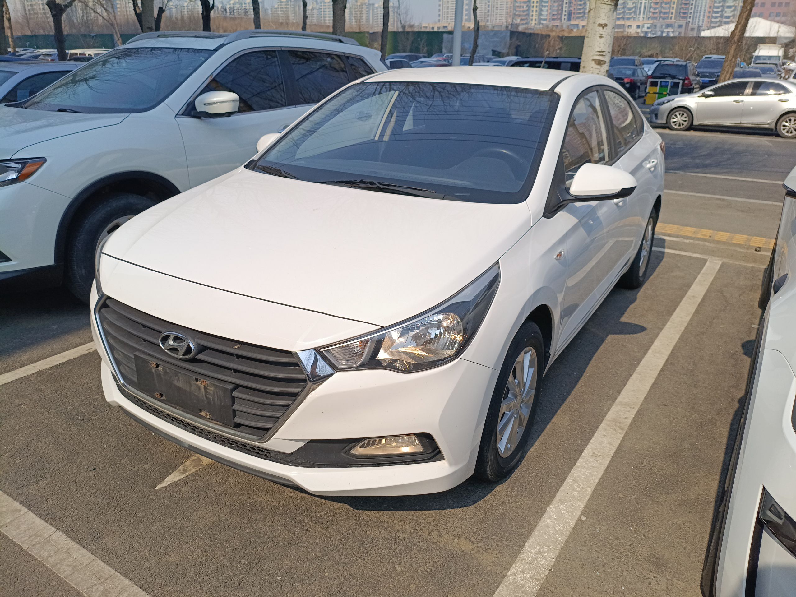 Parte inferior delantera