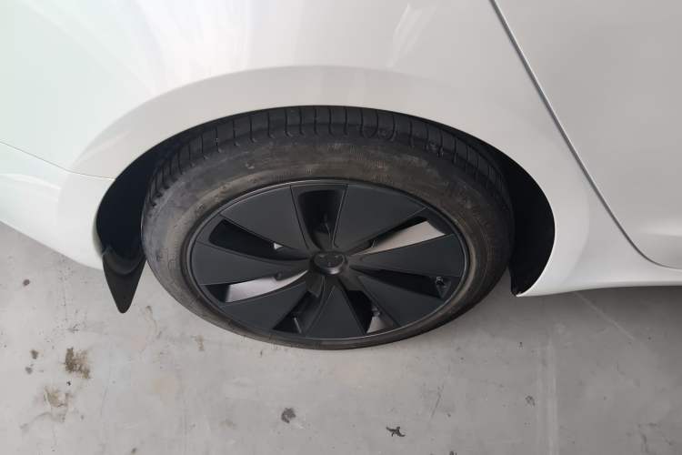 Used Tesla Model 3 2023 Rear-Wheel-Drive Version Exterior 5