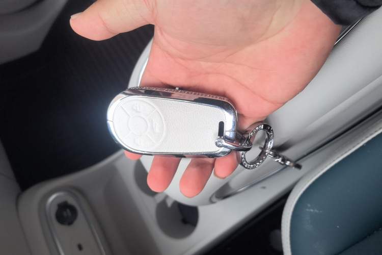 Used ORA Good Cat 2023 401 km Standard Range Luxury Version Lithium Iron Phosphate