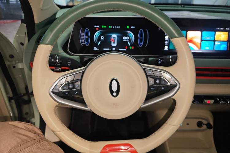 Used ORA Good Cat 2024 501 km Luxury Version Steering Wheel