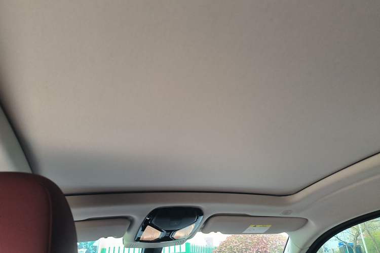 Used BMW X4 2022 xDrive 30i M Sport Package Headliner