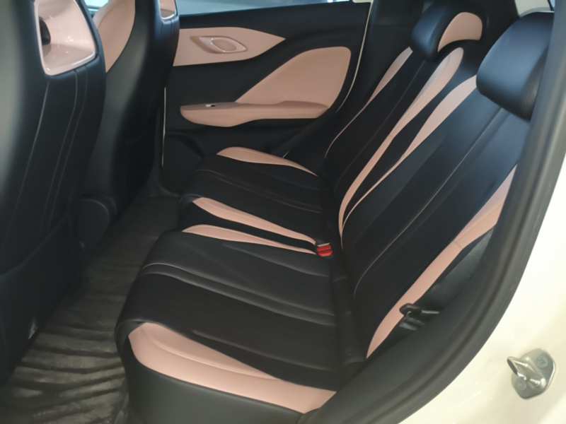 Used BYD Seagull 2025 305 km Free Version — 16