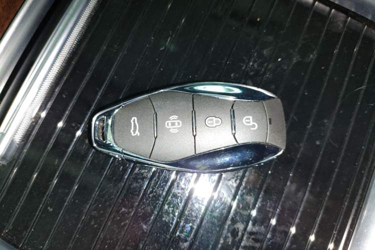 Used Hongqi HQ9 PHEV 2024 2.0T Four-Wheel Drive Luxury Edition
