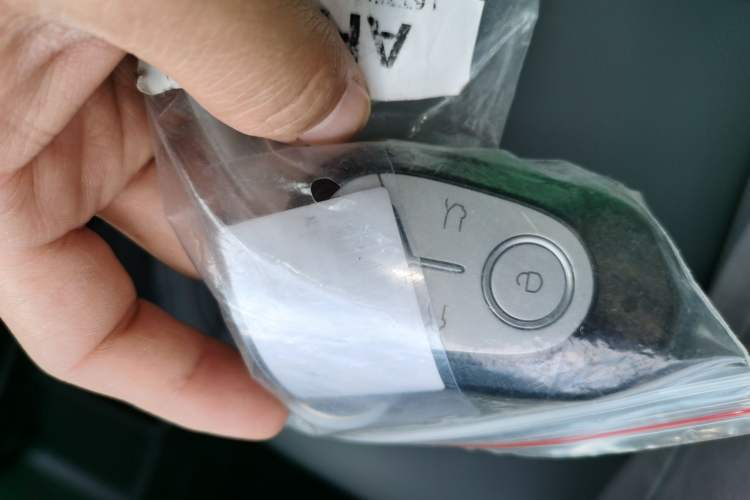 Used Geely Galaxy Geome 2026 Model 310km Youth Edition Vehicle Key