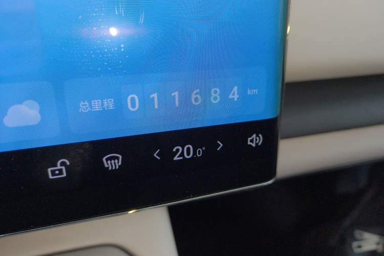 Used VOYAH COURAGE 2024 Four-Wheel Drive Global Edition Odometer Close Up