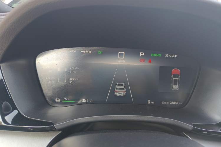 Used BYD Song PLUS New Energy 2024 Honor Edition EV 520km Premium Model
