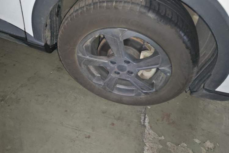 Used Geometry E Firefly 2023 401KM Linglong Tiger 5-Seater Custom Edition
