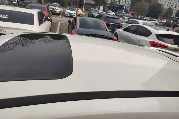 Used Ford Focus 2015 Hatchback EcoBoost 180 Automatic Sport Model