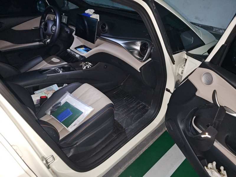 Used BYD Dolphin 2023 420 km Free Version — 20