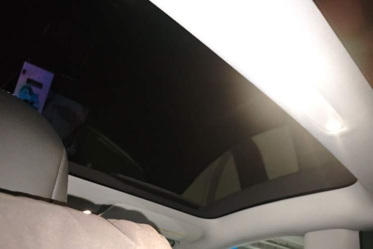 Used Tesla Model 3 2019 Standard Range Rear-Drive Upgraded Version Headliner