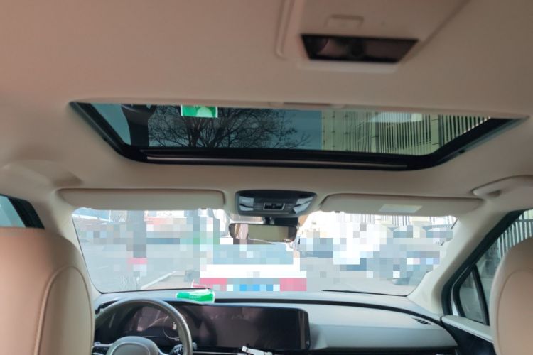 Used Kia Carnival 2021 2.0T Flagship Edition