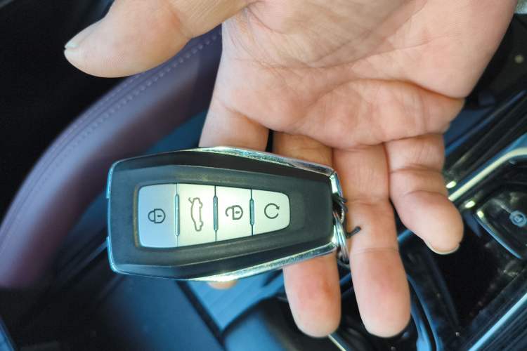 Used Geely Auto Monjaro L 2021 2.0TD DCT EVO Two-Wheel Drive Prestige Version
