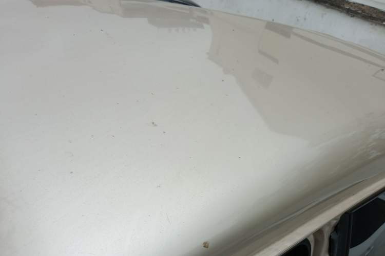 Used FORTHING Lingzhi 2015 V3 1.5L 7-Seater Luxury Model Roof