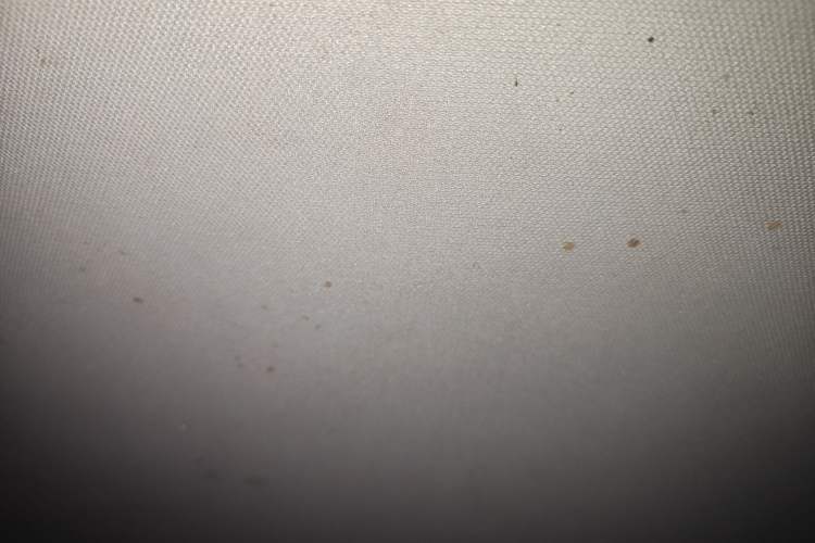 Used Volkswagen Lavida 2013 Revised Classic 1.6L Automatic Fashion Edition Headliner