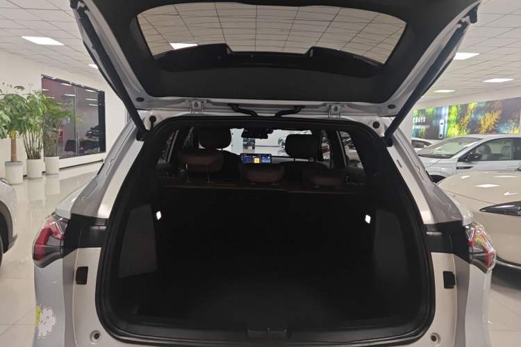 Used Wuling Xingguang S 2024 130 km Flagship Version
