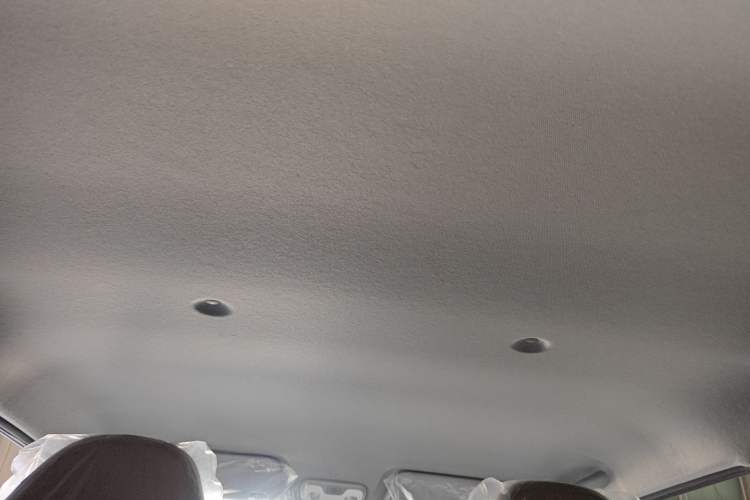 Used Chery QQ Ice Cream 2025 205km Qi Energy Version Headliner