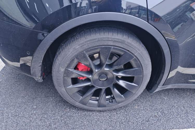 Used Tesla Model Y 2021 Standard Range Rear-Wheel Drive Version
