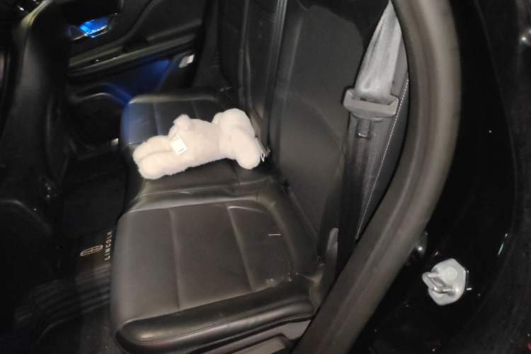 Used Lincoln Corsair 2020 2.0T Two-Wheel Drive Luxury Edition Left Rear Seat