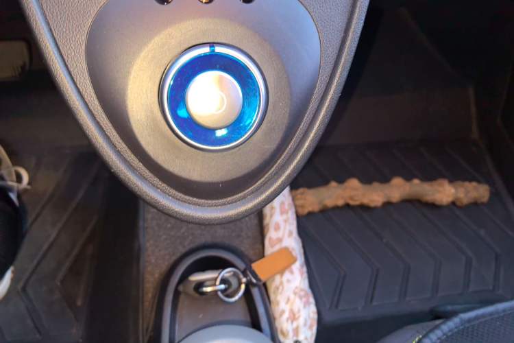 Used ORA Black Cat 2022 351 km Standard Version Ternary Lithium
