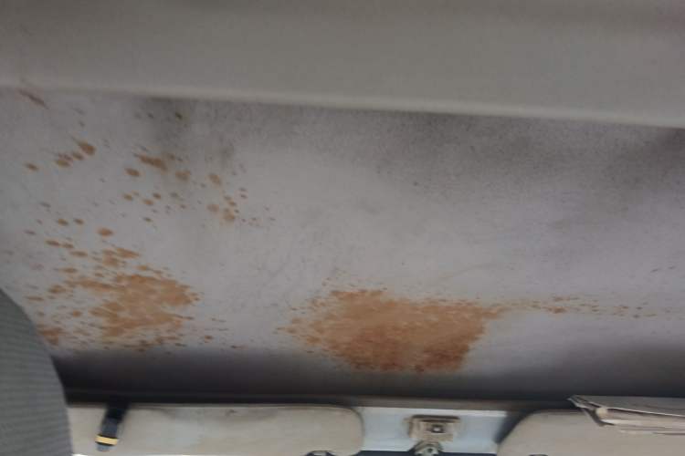 Used Soueast Delica 2008 2.0L Economy Version