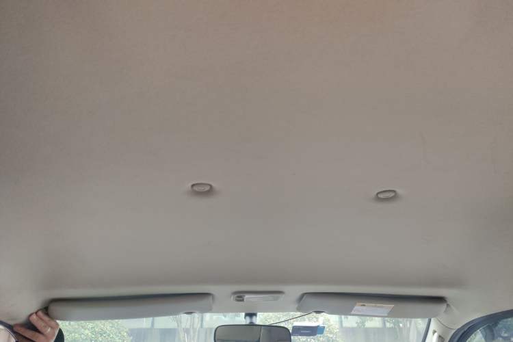 Used FORTHING Lingzhi 2020 M5L 1.6L Utility Model
