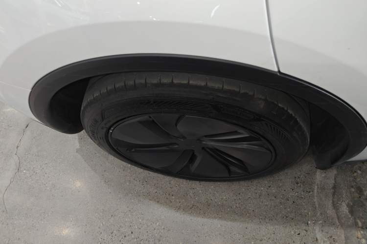 Used Tesla Model Y 2025 Rear-Wheel Drive First Edition
