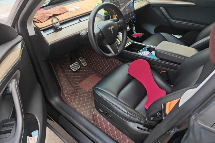 Used Tesla Model Y 2021 Standard Range Rear-Wheel Drive Version
