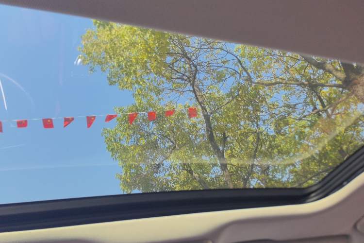 Used Hongqi H5 2023 2.0T Automatic Smart Connect Flagship Edition
