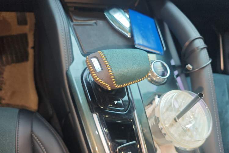 Used Geely Auto Monjaro L 2021 2.0TD DCT EVO Two-Wheel-Drive Flagship Version
