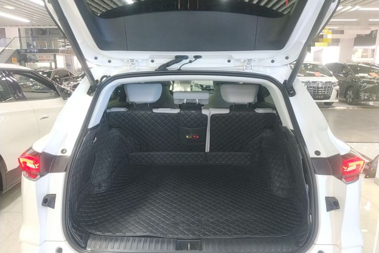 Used Buick E5 2023 Zhenxiang Standard Range Edition
