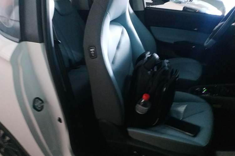 Used Chery New Energy Little Ant 2023 251km True Love Edition Lithium Iron Phosphate
