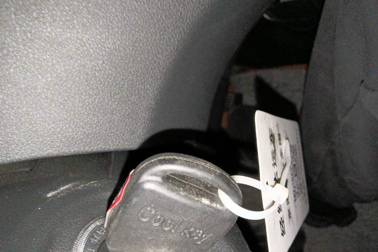 Used Foton Scenic G5 2024 2.0L Gasoline Commercial & Travel Version Passenger Van 7/9 Seats Model DAN20L