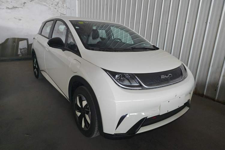Used BYD Dolphin 2025 420km Free Edition