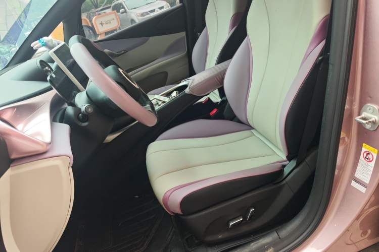 Used BYD Dolphin 2021 405 km Fashion Edition Left Front Seat