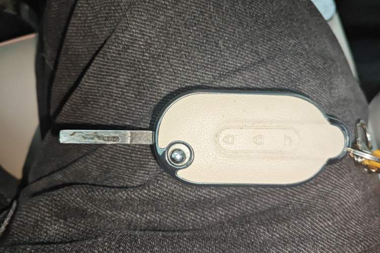 Used Wuling Hongguang MINIEV 2024 3rd Generation 215km Advanced Version