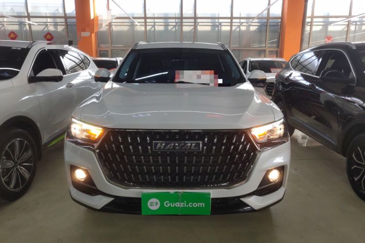 Used Haval H6 2023 National Trend Edition 1.5T Automatic Urban Version
